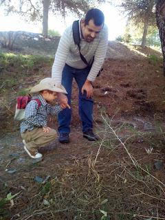 Blogger Traveller Noviembre: HOJAS Blogger Traveller Noviembre: HOJAS