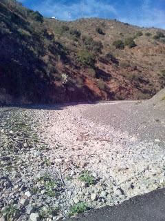 Blogger Traveller Noviembre: HOJAS Blogger Traveller Noviembre: HOJAS