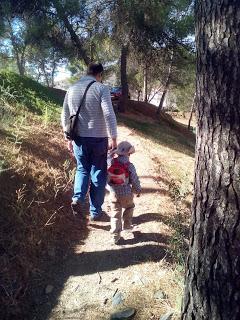 Blogger Traveller Noviembre: HOJAS Blogger Traveller Noviembre: HOJAS