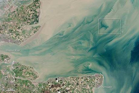 London Array en la desembocadura del Támesis London Array en la desembocadura del Támesis