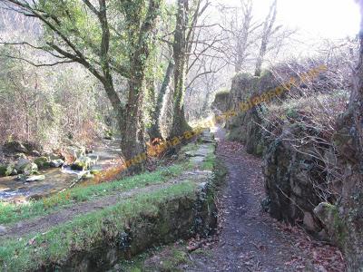Ascensión al Pico del Can o Panondres (843 m.), Pico La Vieya (839 m.) y Cascadas de Oneta Ascensión al Pico del Can o Panondres (843 m.), Pico La Vieya (839 m.) y Cascadas de Oneta