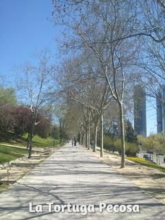 PARQUE NORTE-MADRID