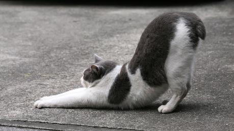 Vida blogger: rutina nocturna Vida blogger: rutina nocturna