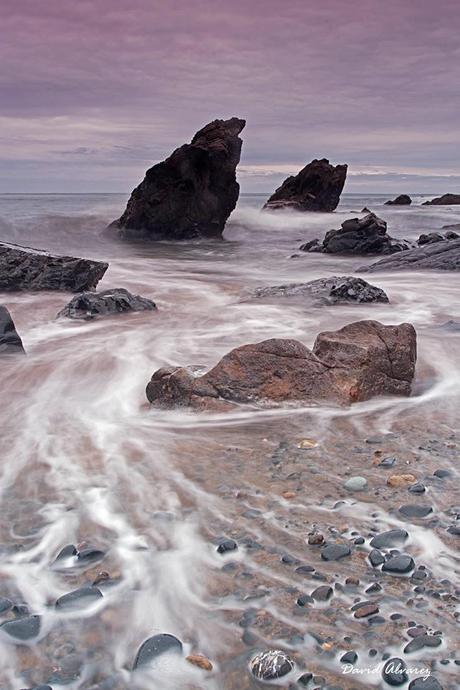 Jugando con las olas Jugando con las olas