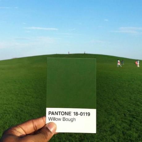 The Pantone Project 5