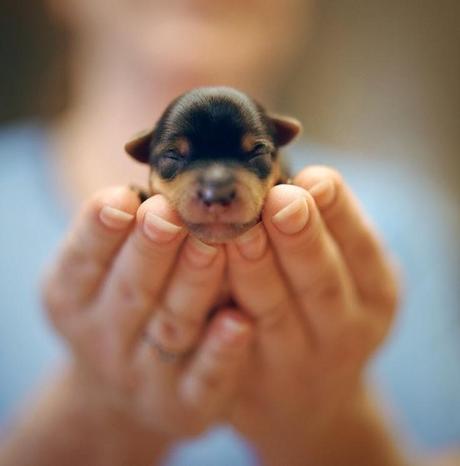 Adorable #2 Adorable #2