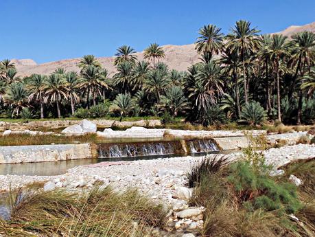 Los wadis de Omán, ríos de vida Los wadis de Omán, ríos de vida