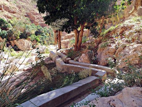 Los wadis de Omán, ríos de vida Los wadis de Omán, ríos de vida