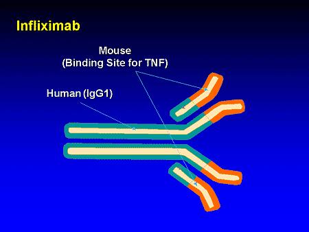 Infliximab no aumenta el riesgo de cáncer en pacientes con enfermedad de Crohn Infliximab no aumenta el riesgo de cáncer en pacientes con enfermedad de Crohn