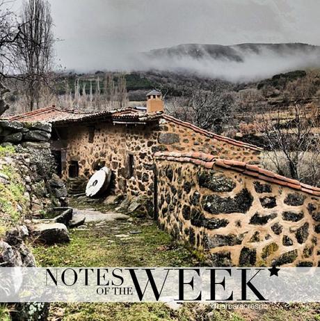 notes of the week barbara crespo tumblr social media instagram youtube instavideo notes of the week barbara crespo tumblr social media instagram youtube instavideo
