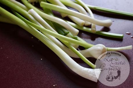 CREMA DE ROMANESCU CREMA DE ROMANESCU