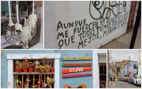 Asado de Cordero. El sabor de la Patagonia ( Parte I). Asado de Cordero. El sabor de la Patagonia ( Parte I).