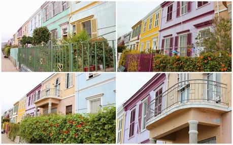 Asado de Cordero. El sabor de la Patagonia ( Parte I). Asado de Cordero. El sabor de la Patagonia ( Parte I).