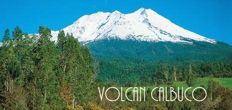 Asado de Cordero. El sabor de la Patagonia ( Parte I). Asado de Cordero. El sabor de la Patagonia ( Parte I).