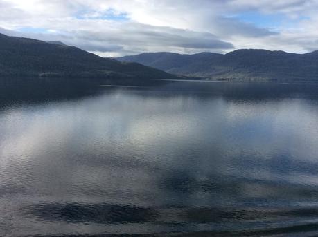 Asado de Cordero. El sabor de la Patagonia ( Parte I). Asado de Cordero. El sabor de la Patagonia ( Parte I).