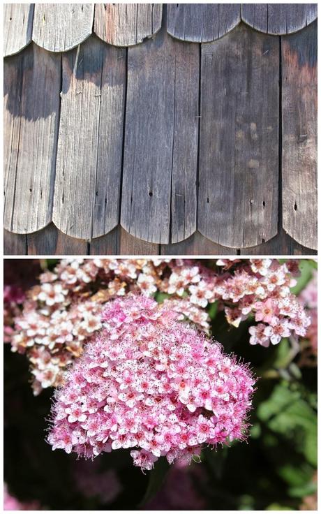 Asado de Cordero. El sabor de la Patagonia ( Parte I). Asado de Cordero. El sabor de la Patagonia ( Parte I).