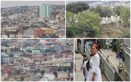 Asado de Cordero. El sabor de la Patagonia ( Parte I). Asado de Cordero. El sabor de la Patagonia ( Parte I).