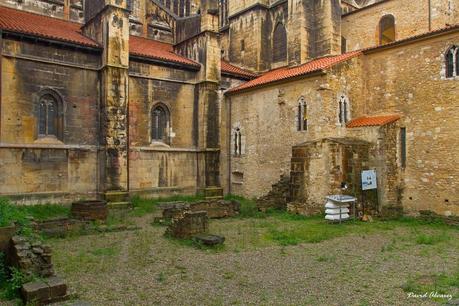 Las salamandras del Oviedo antiguo: un estudio histórico y biológico