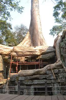Día 10: La maravilla de Angkor, parte 2 y visita a Tonle Sap Lake.