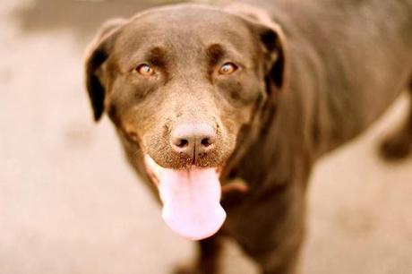 The new collection with Kira The new collection with Kira