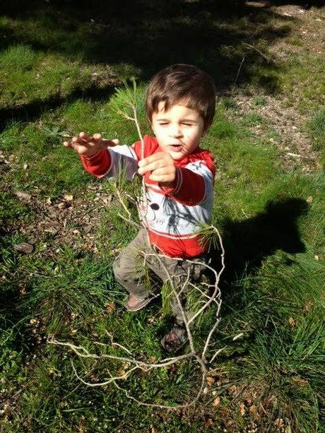 Bases para una vida sana: buscando el equilibrio. Bases para una vida sana: buscando el equilibrio.