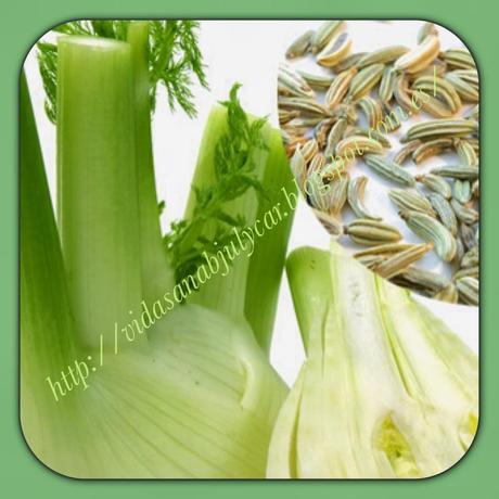 Crema de calabacin e hinojo con quesitos light Crema de calabacin e hinojo con quesitos light