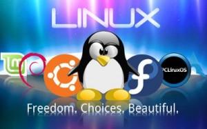 Elegir Linux