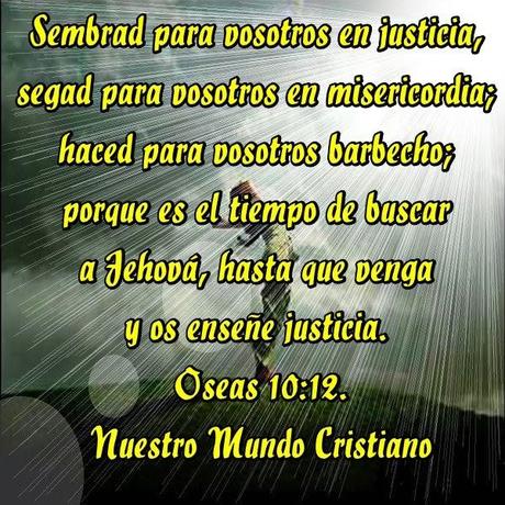 La búsqueda del Señor La búsqueda del Señor