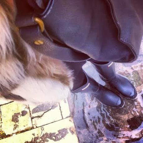 Insta Sdiosas 12 Insta Sdiosas 12