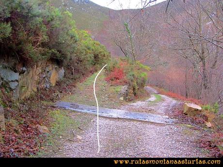 Desviación a la izquierda durante el camino Desviación a la izquierda durante el camino