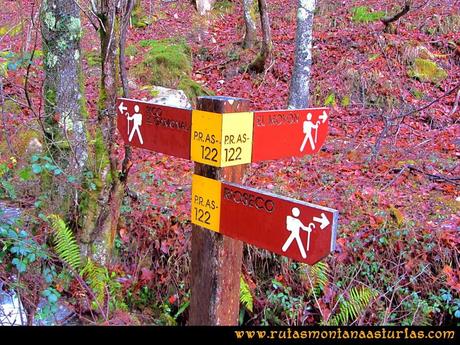 Cruce de caminos en la ruta Cruce de caminos en la ruta