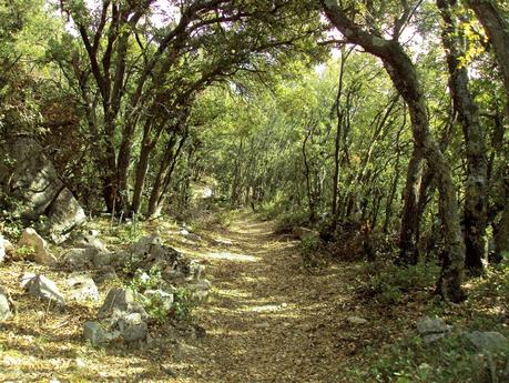 Al abrigo de los Abrigos Prehistóricos Al abrigo de los Abrigos Prehistóricos