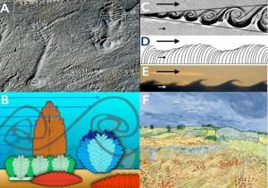 Biologists-Reveal-Why-Early-Life-Began-to-Get-Larger-in-Earths-Oceans