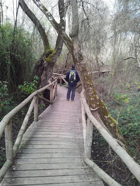 Sorpresas en Doñana... - Surprises in the Donana National Park...