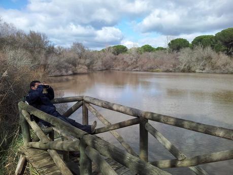 Sorpresas en Doñana... - Surprises in the Donana National Park...