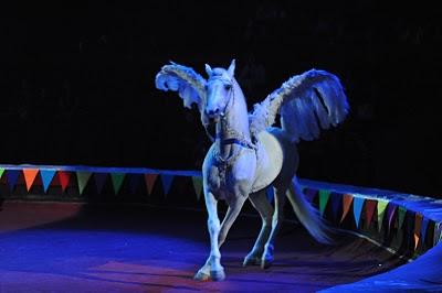 moscow_circus_on_ice_2_sarah_abilleira