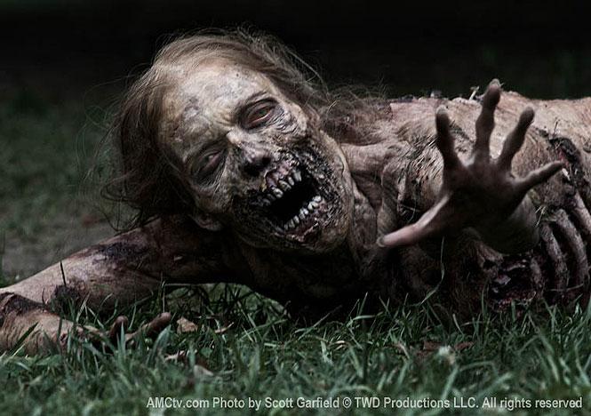 The Walking Dead The Walking Dead