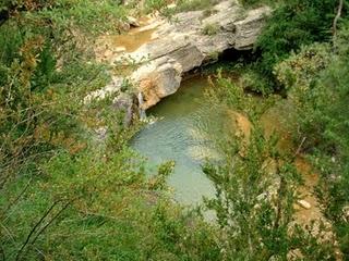 El Torrent de la Cabana - Ruta el 7 Gorgs (Campdevànol)