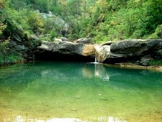 El Torrent de la Cabana - Ruta el 7 Gorgs (Campdevànol)