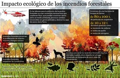 Incendios forestales: Impacto ecológico y riesgos para la salud