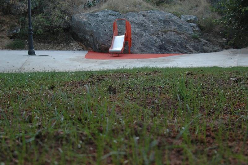 La batalla verde. Dos semanas después. La batalla verde. Dos semanas después.