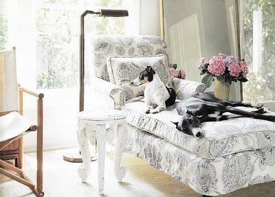 Las mascotas y la decoración Las mascotas y la decoración