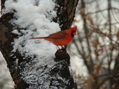 Pulp 2E.., continuacion cap 1 Pulp 2E.., continuacion cap 1