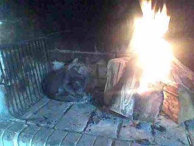 Wilbur el suicida Wilbur el suicida