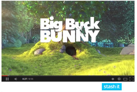 Stash it botón Stash it botón