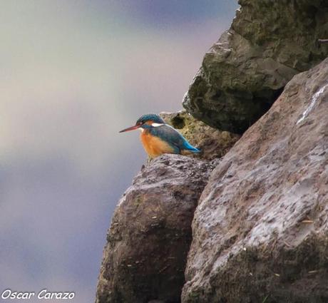 SANTOÑA EN PLENITUD SANTOÑA EN PLENITUD