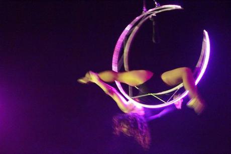 Circo Raluy. Un circo de toda la vida. circo Raluy Barcelona