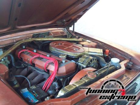 Torino ZX 3.8L 1980 Torino ZX 3.8L 1980