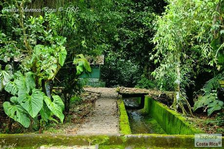Refugio de Vida Silvestre La Marta -Sitio histórico- (Pejibaye de Jiménez de Cartago)