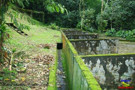 Refugio de Vida Silvestre La Marta -Sitio histórico- (Pejibaye de Jiménez de Cartago)